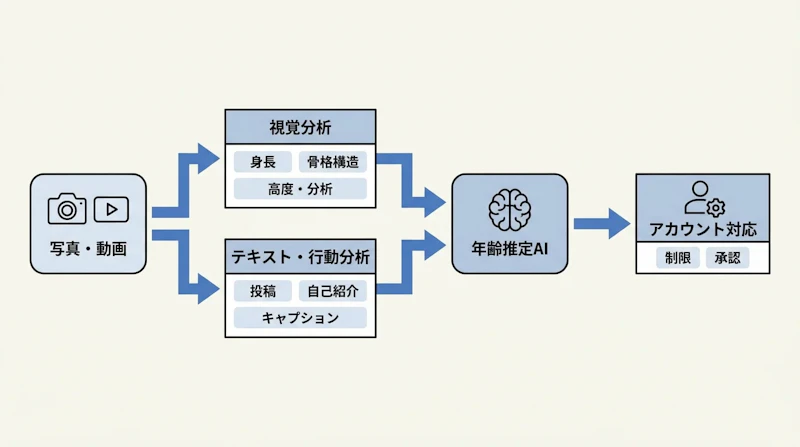 図1: MetaのAI年齢推定システムの処理フロー