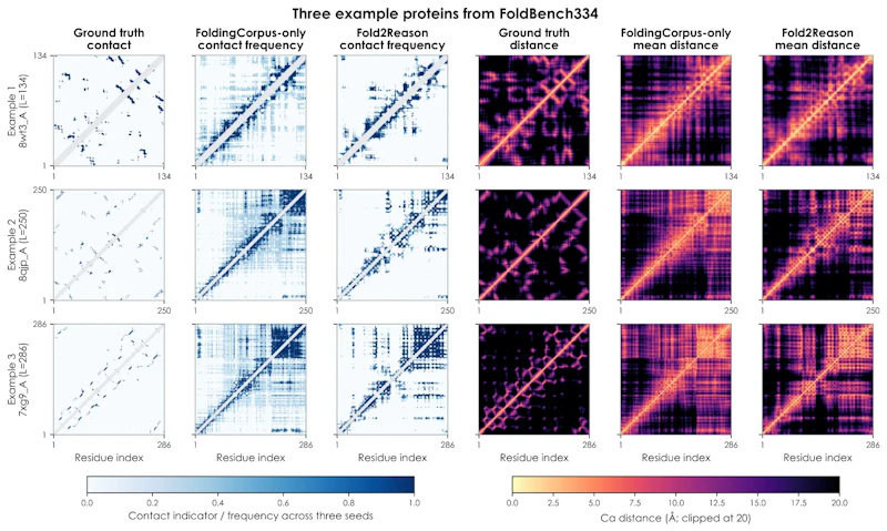 図5: 長さの異なる3つのタンパク質における接触マップと距離マップ。正解、FoldingCorpus のみ、Fold2Reason の比較