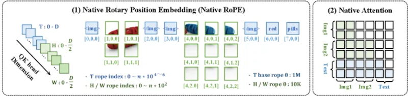 図2: Native RoPEと空間時間Attentionの概要。画像内の双方向Attentionとテキスト・動画フレーム間の因果的依存をTHW対応の周波数・チャネル割り当てで統一的にモデル化する