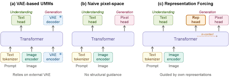図1: アーキテクチャ比較。（a）従来のUMMはVAEをボトルネックとして持つ、（b）VAEを取り除くと構造ガイダンスが失われる、（c）RFはデコーダ自身が視覚表現を予測し、外部潜在空間なしに拡散をガイドする
