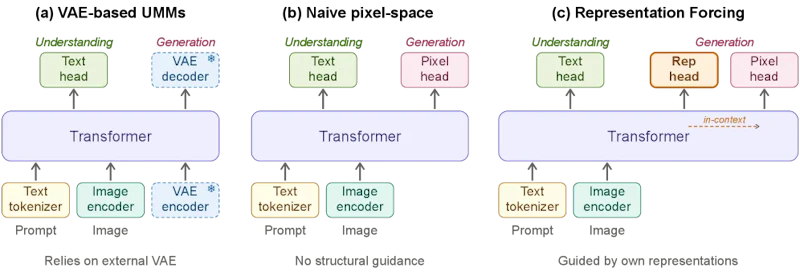 図1: アーキテクチャ比較。（a）従来のUMMはVAEをボトルネックとして持つ、（b）VAEを取り除くと構造ガイダンスが失われる、（c）RFはデコーダ自身が視覚表現を予測し、外部潜在空間なしに拡散をガイドする