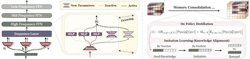 図2: 記憶統合の概要。モデルはパラメータ拡張で容量を増やし（左）、Knowledge Seedingで高頻度記憶の知識抽象を低頻度の安定した記憶へ転送する（右）。