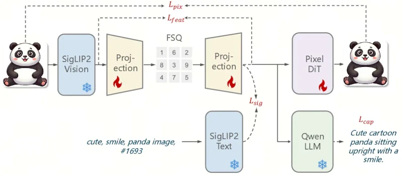 図1: 統一離散視覚トークナイザーのアーキテクチャ。凍結SigLIP2エンコーダ、Attentionベースの射影ブロック、FSQ量子化層で構成される