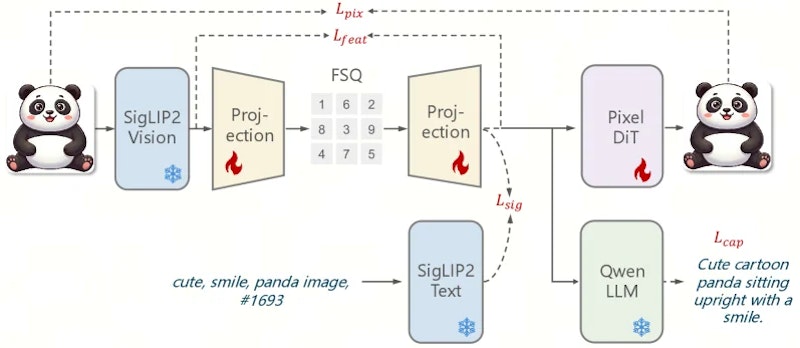 図1: 統一離散視覚トークナイザーのアーキテクチャ。凍結SigLIP2エンコーダ、Attentionベースの射影ブロック、FSQ量子化層で構成される