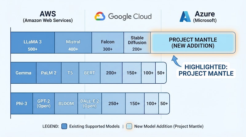 図2: 主要クラウドプラットフォームのオープンウェイトモデル対応状況