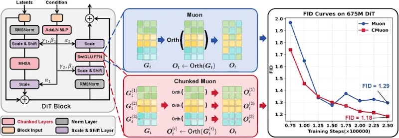 図1: CMuonの概要。融合された重み行列をchunkに分割し、ブロックをまたぐ干渉を避けて成分ごとに直交化する。右側はImageNet 256でvanilla Muonに対する性能向上を示す