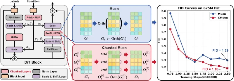 図1: CMuonの概要。融合された重み行列をchunkに分割し、ブロックをまたぐ干渉を避けて成分ごとに直交化する。右側はImageNet 256でvanilla Muonに対する性能向上を示す
