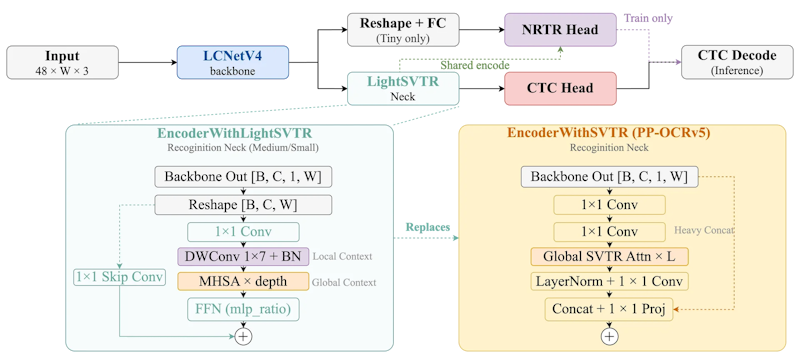図3: PP-OCRv6 テキスト認識のアーキテクチャ。LCNetV4 バックボーンを経て LightSVTR ネック（medium/small）または Reshape+FC（tiny）に渡り、推論時は CTC ヘッド、学習時は NRTR ヘッドも使用される。