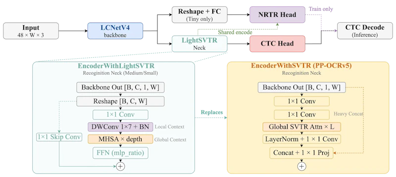 図3: PP-OCRv6 テキスト認識のアーキテクチャ。LCNetV4 バックボーンを経て LightSVTR ネック（medium/small）または Reshape+FC（tiny）に渡り、推論時は CTC ヘッド、学習時は NRTR ヘッドも使用される。