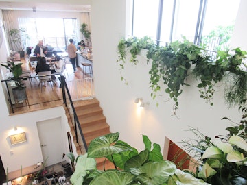 ハーブ 宿根草類の事例一覧 お庭づくり デザイン 管理ならwellne ウェルネ ハーブ 宿根草類の事例一覧 お庭づくり デザイン 管理ならwellne ウェルネ