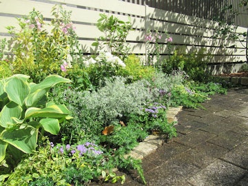 ハーブ 宿根草類の事例一覧 お庭づくり デザイン 管理ならwellne ウェルネ ハーブ 宿根草類の事例一覧 お庭づくり デザイン 管理ならwellne ウェルネ