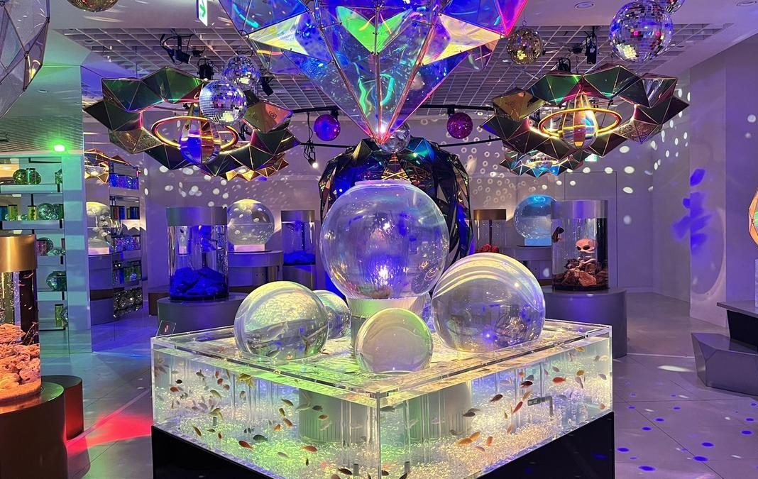 名古屋初上陸】宇宙を旅する水族館「UNDER WATER SPACE NAGOYA」がmozo