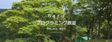haruプログラミング教室