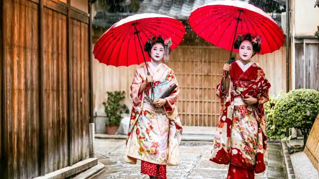 Geisha vs Maiko vs Geiko: What's the Real Difference in Kyoto?