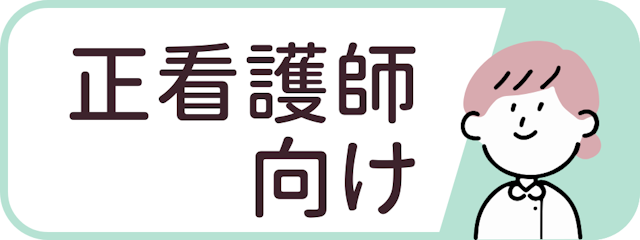 正看護師向けランキング