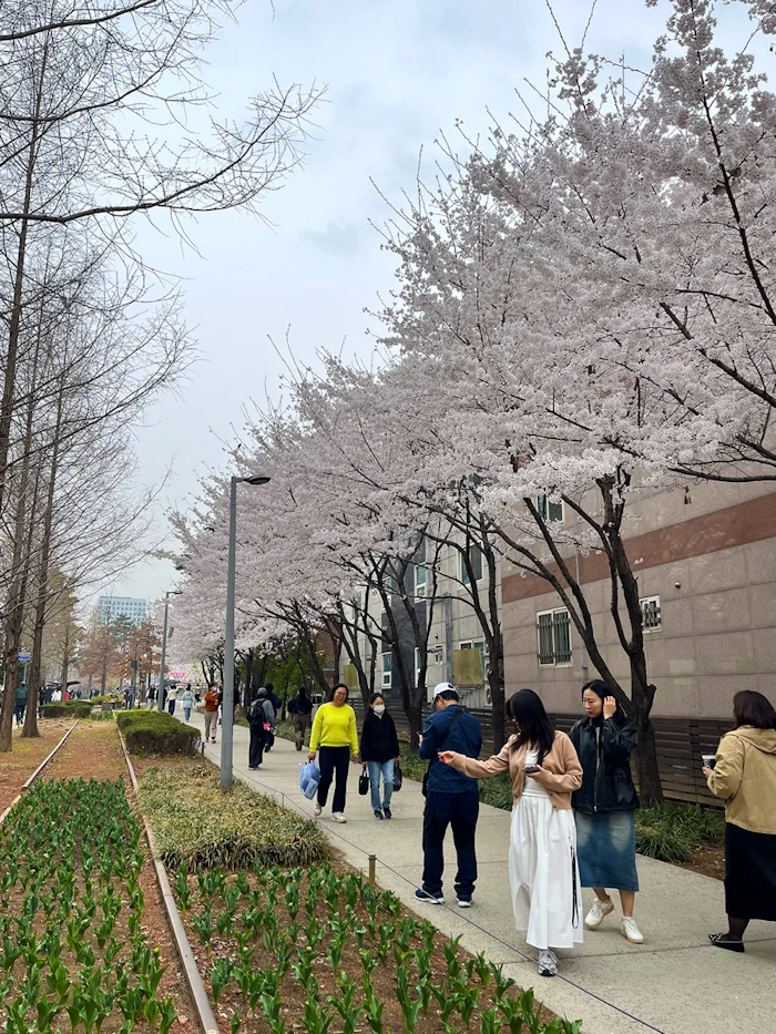 4月の韓国の街並みと現地の服装例
