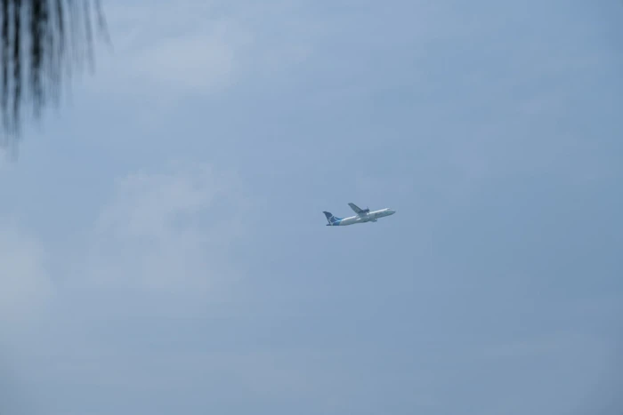 南国を飛ぶ飛行機