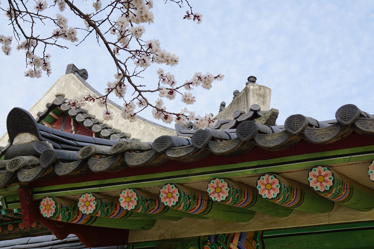 韓国の春の風景