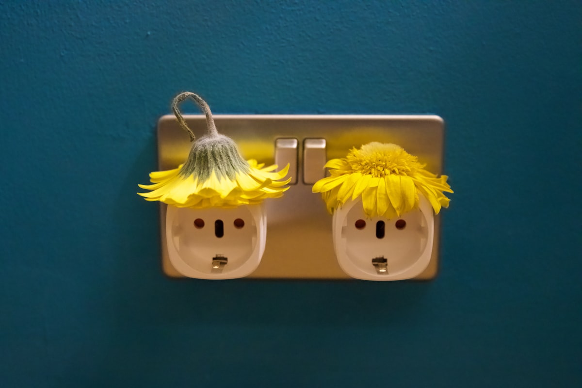 コンセントの差し込み口