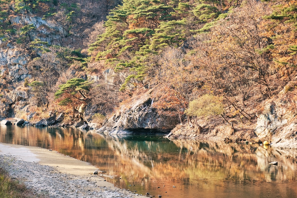 韓国の世界遺産17件【2025年最新登録】個人旅行で巡る厳選ガイド