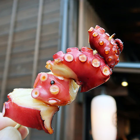 ホットペッパーグルメ出典の画像