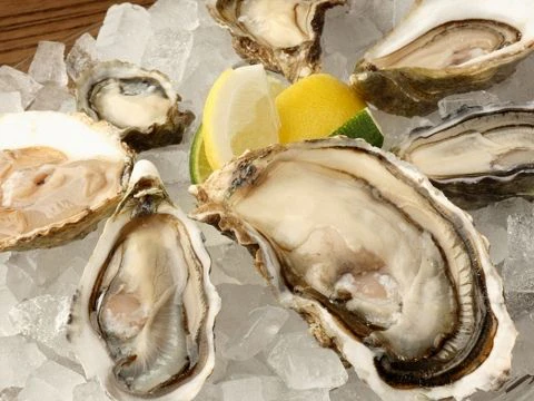 ホットペッパーグルメ出典の画像