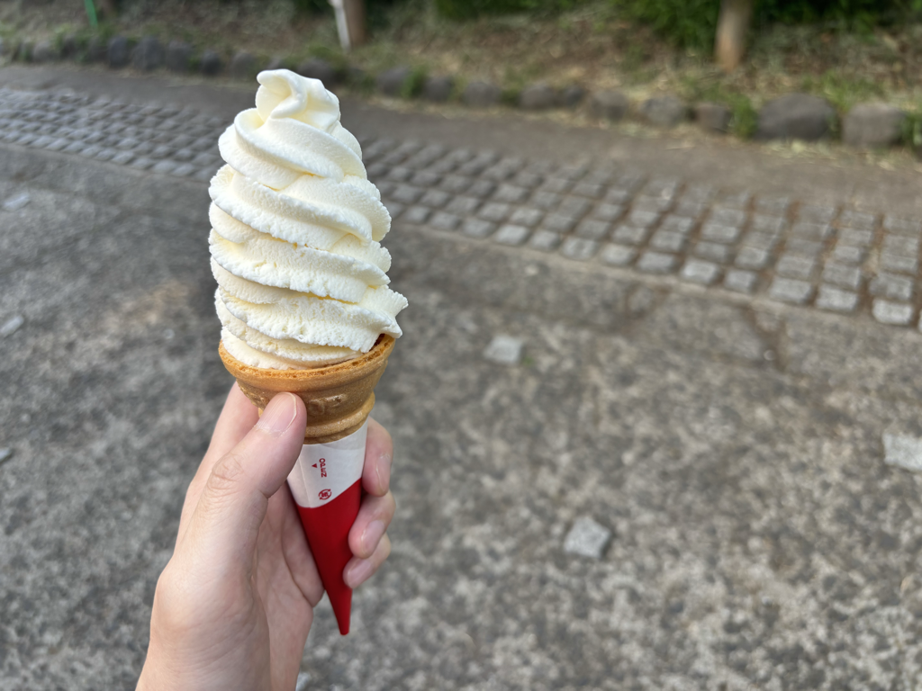 公園のひととき