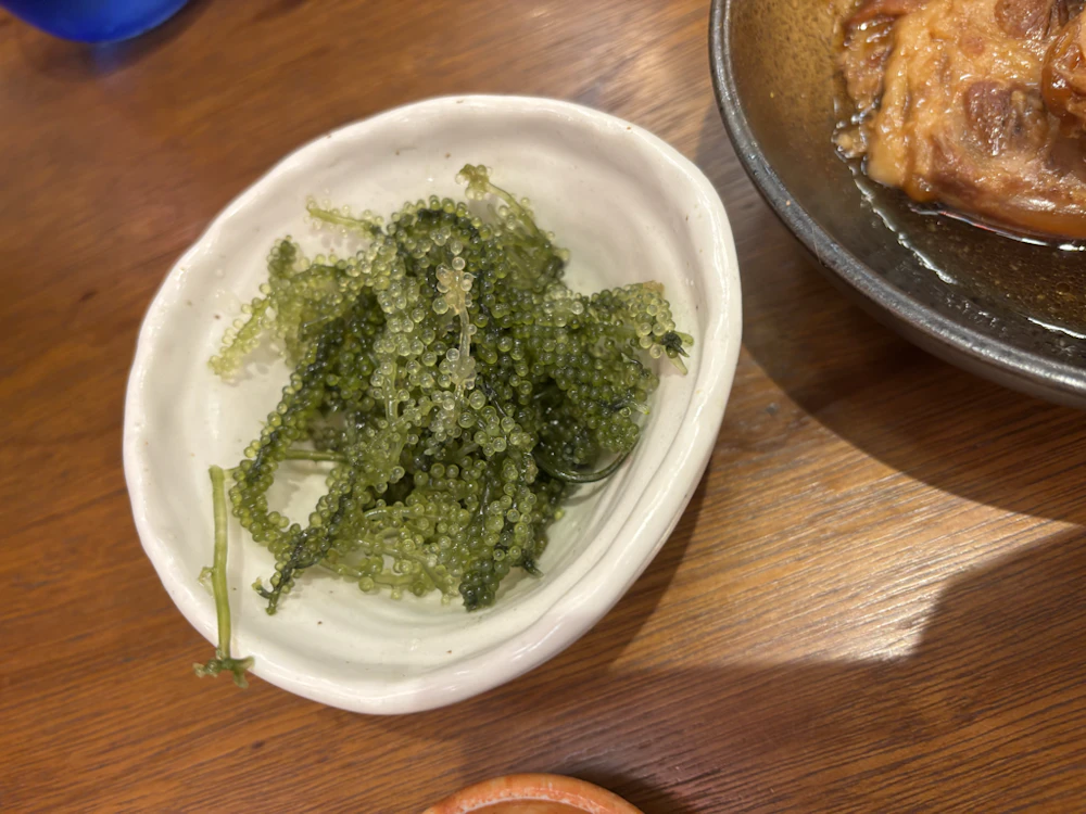 海ぶどう
