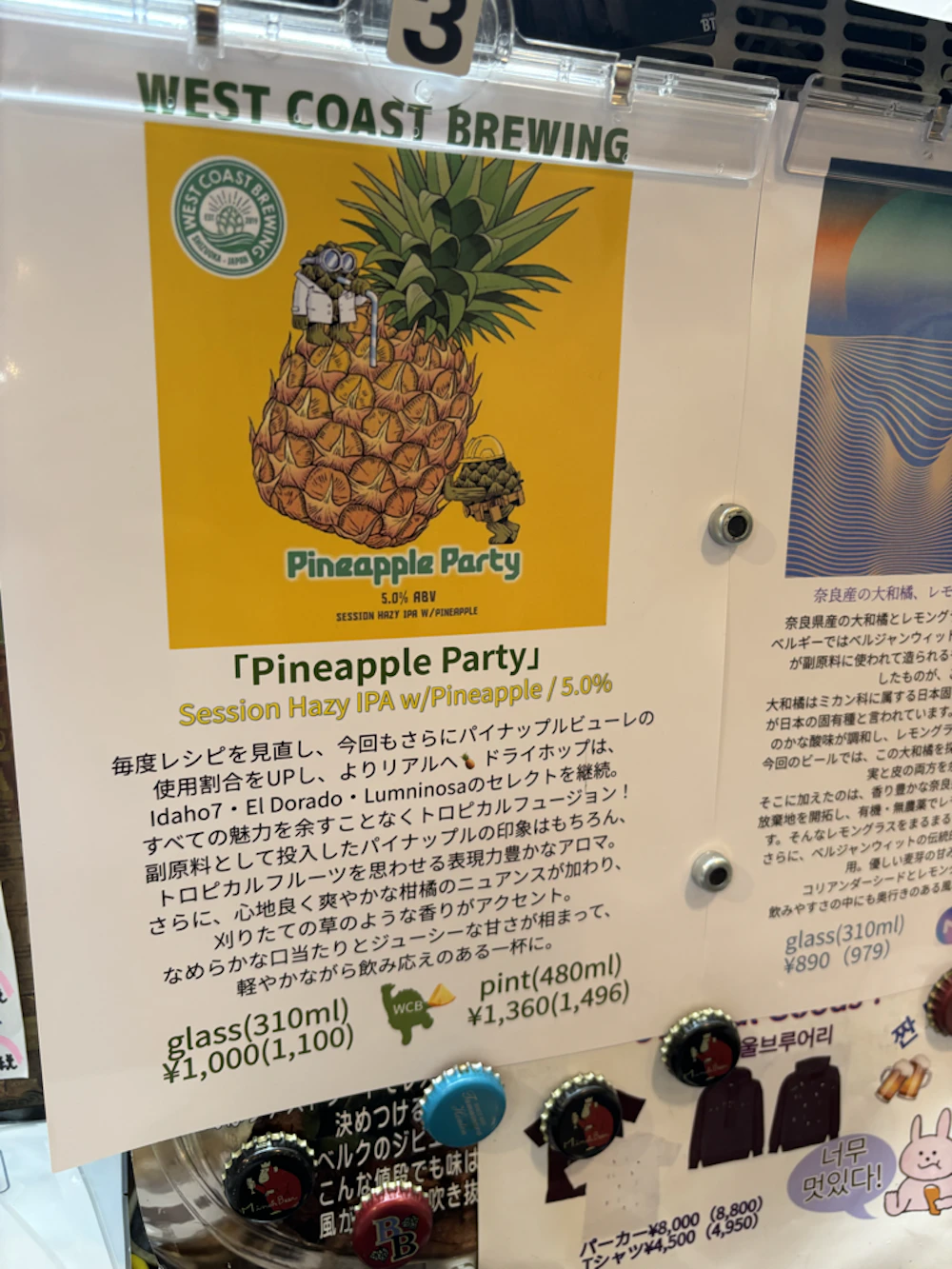 チラシ