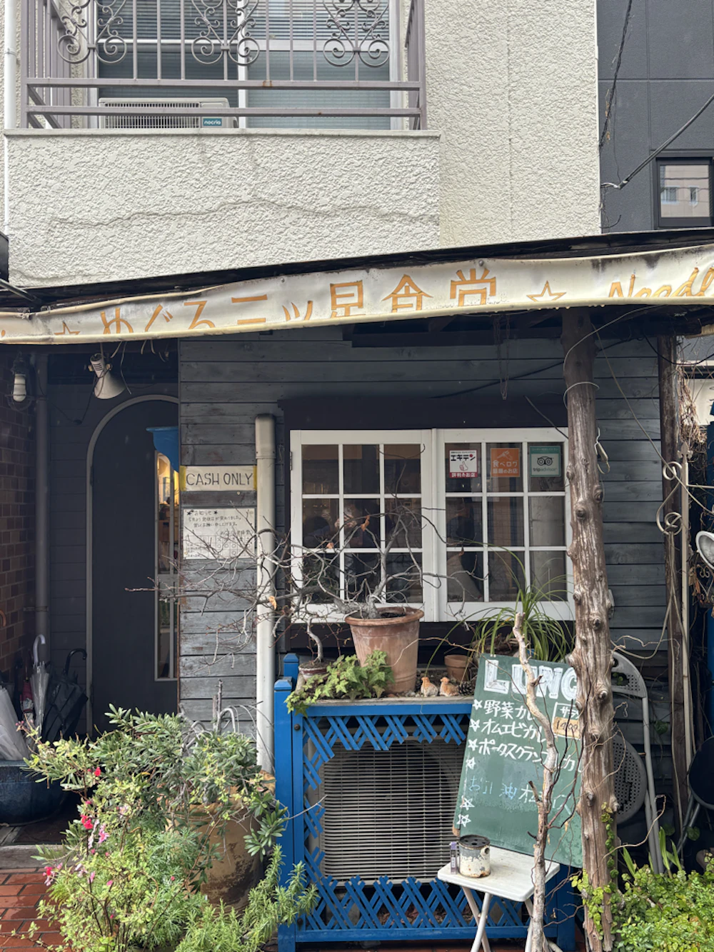 外観