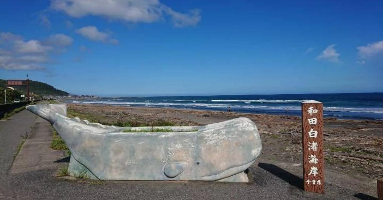 海のそばで、新しい一歩を踏み出した｜鴨川スパホテル三日月（千葉県・鴨川）で働いたリゾートバイト体験談