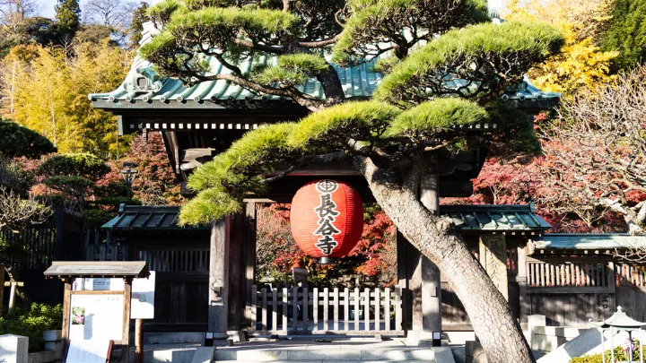 長谷寺