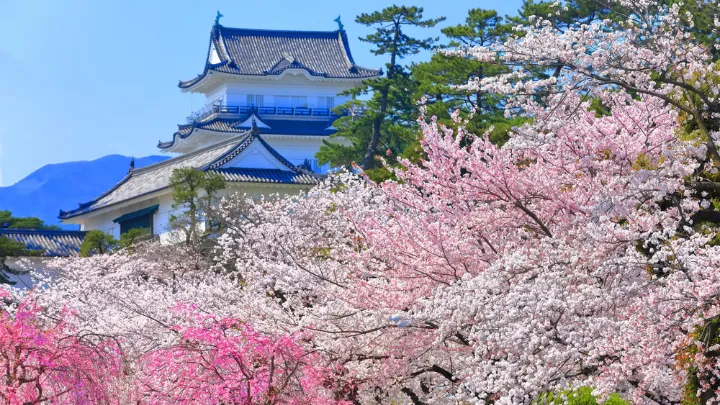 箱根フリーパス 優待対象 小田原城