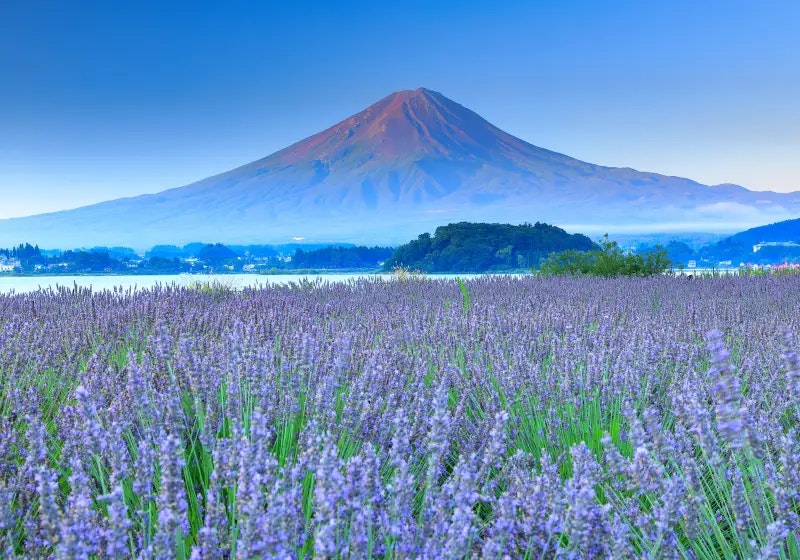 移住におすすめの都道府県｜山梨県