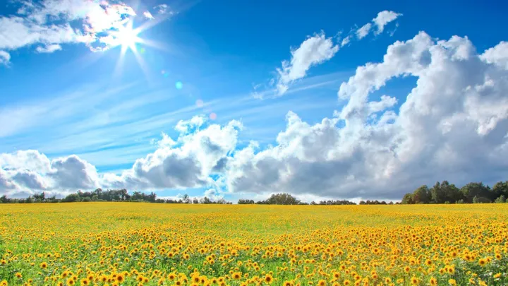 北海道の夏の様子