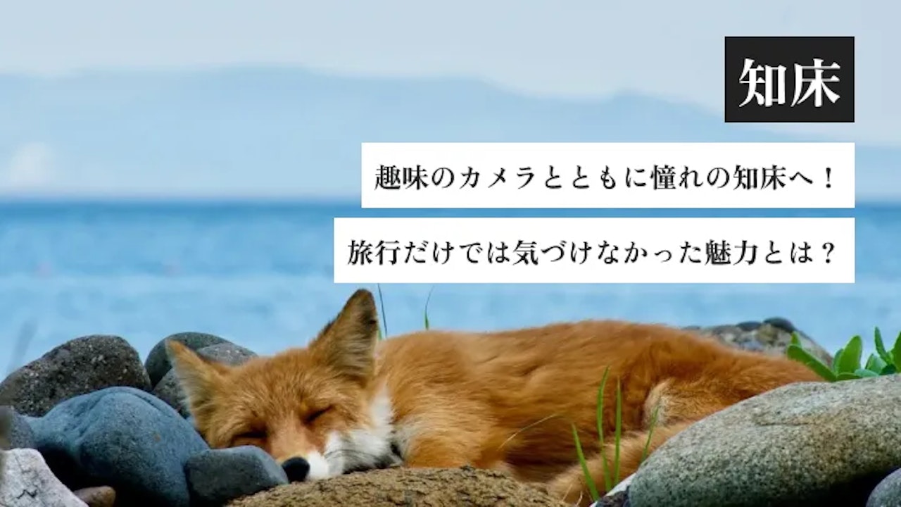 趣味のカメラとともに憧れの知床へ!旅行だけでは気づけなかった魅力とは?