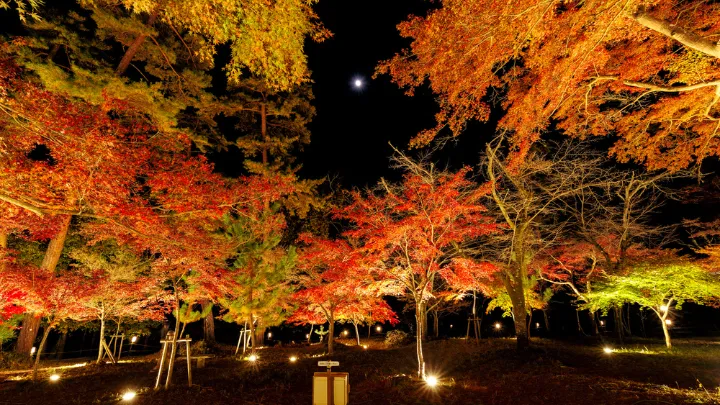 月の石もみじ公園