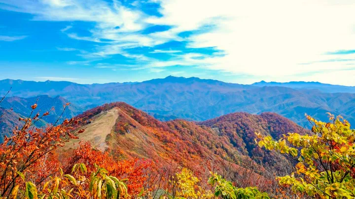 谷川天神平から赤城山 紅葉の風景