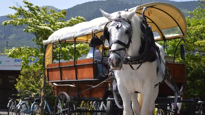 由布院温泉 楽しみ方