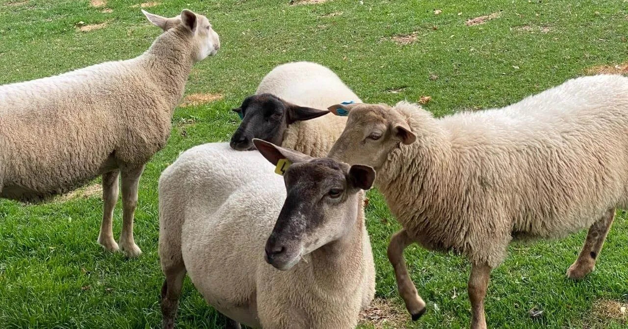 働きながら旅する生活が、想像以上だった｜星野リゾート・トマム（北海道・トマム）で働いたリゾートバイト体験談