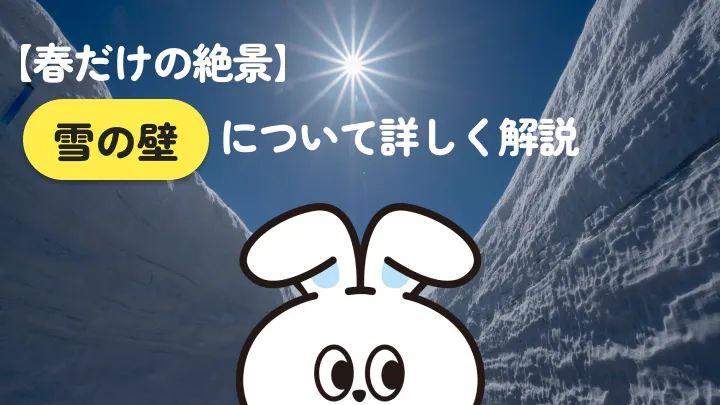 雪の壁とは？仕組みから全国スポット5選まで解説