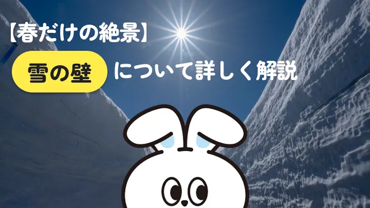雪の壁とは?仕組みから全国スポット5選まで解説