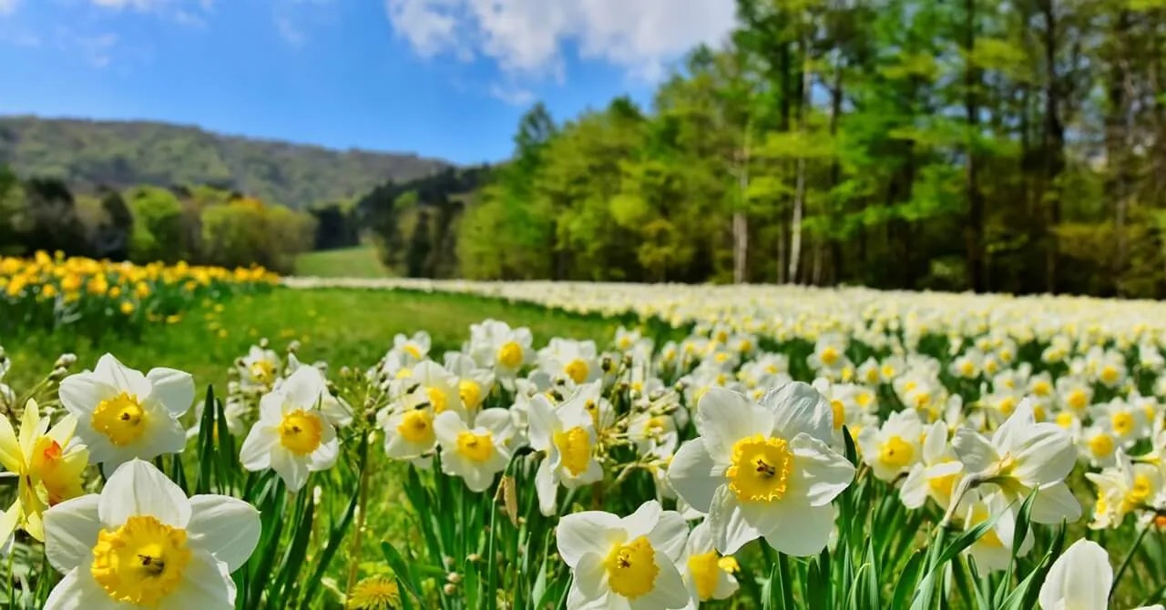 那須塩原・那須高原のリゾートバイト特集