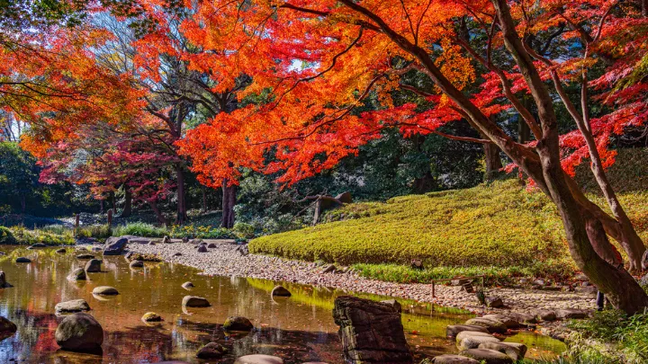 小石川後楽園