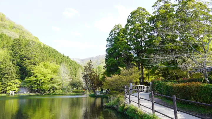 由布院温泉 美しい自然 金鱗湖