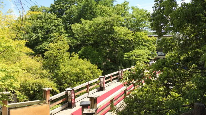 大月市 猿橋