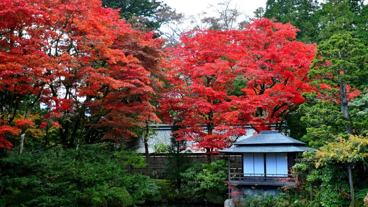 日光山輪王寺 逍遥園