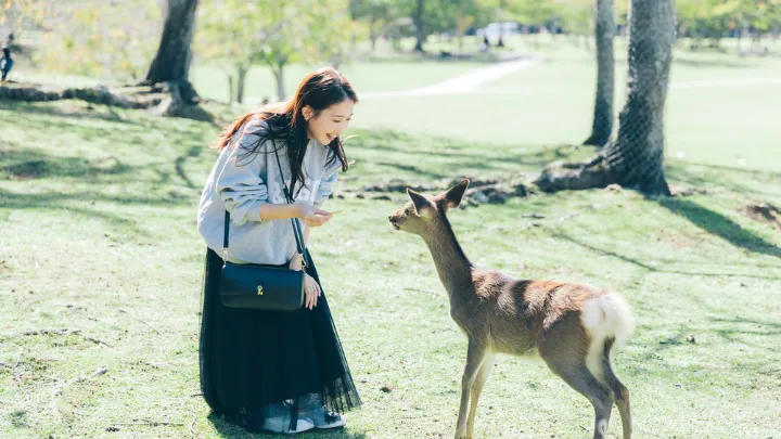 奈良県での暮らし イメージ