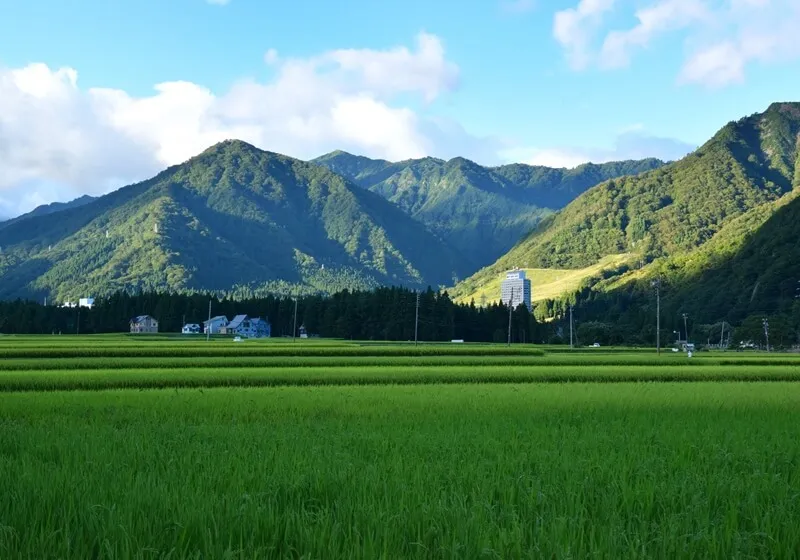 移住先の自治体 イメージ画像