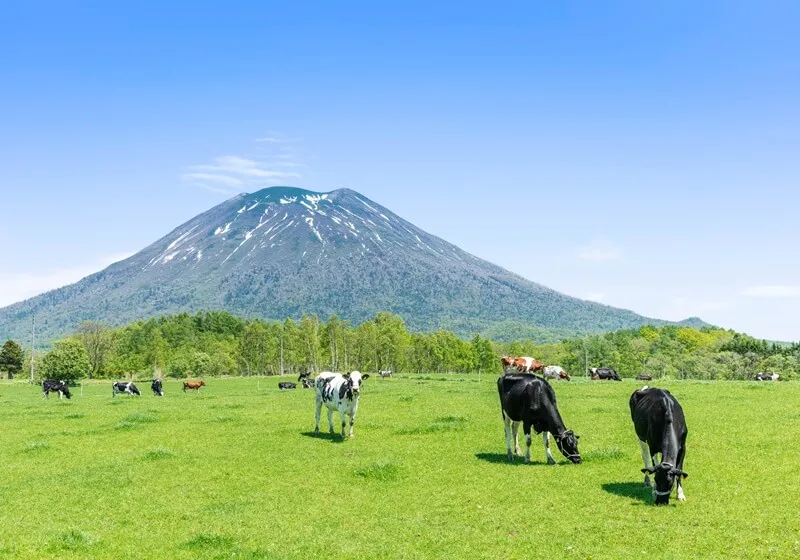 1. 壮大な自然に囲まれた、非日常な日々が過ごせる！